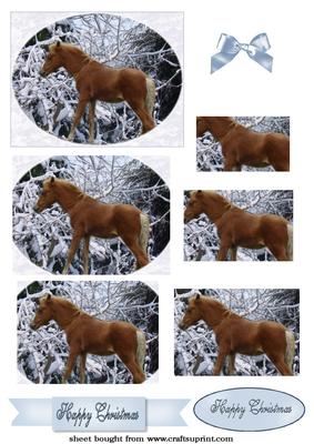 Pony in the Snow Pyramid
