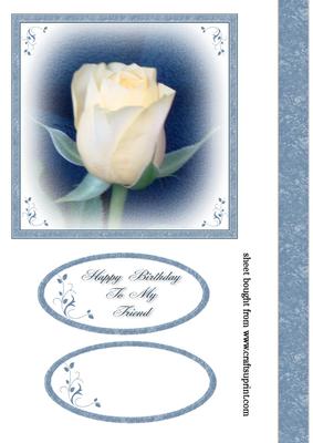 Yellow Rose of Friendship