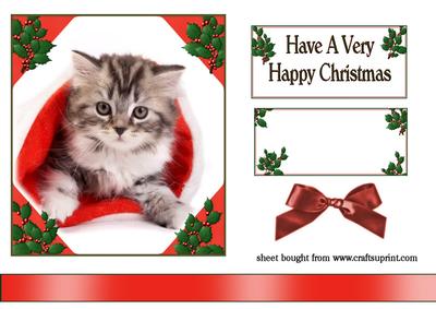 Christmas Kitten in Christmas Hat
