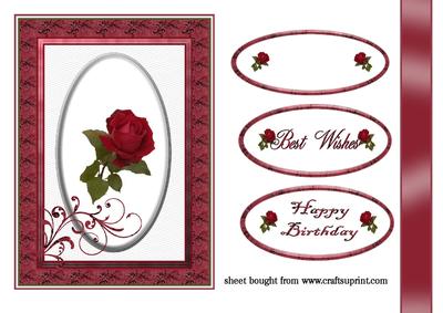 Rose in Oval and Red Frame