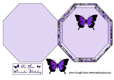 Butterfly December Birthday
