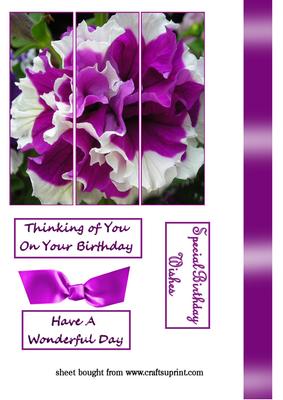 Purple Flower Panel