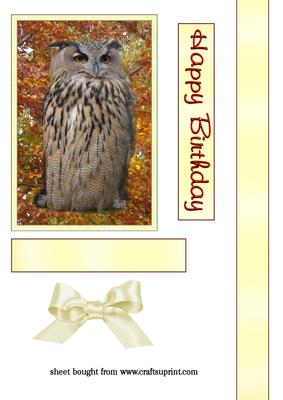 Lovely Owl on a Pretty Autumn Background