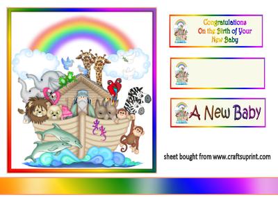 Noah's Ark New Baby