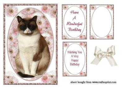 Cat in Oval Frame
