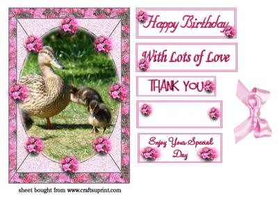 Mother Duck & Her Family