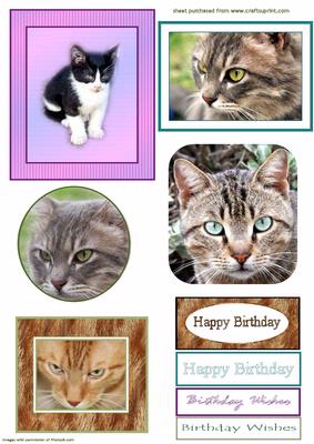 5 Cat Toppers