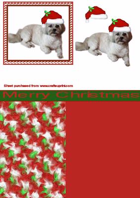 Little Christmas Dog