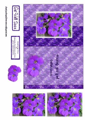 Purple Pansy Foldback