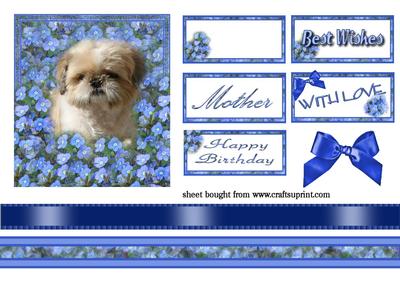Little Dog and Forget-me-nots