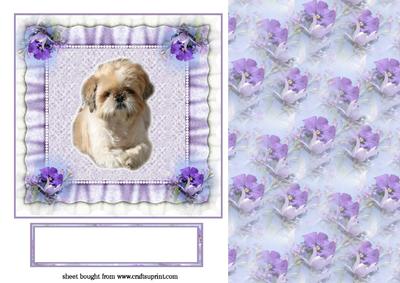 Sweet Little Dog with Purple Backing