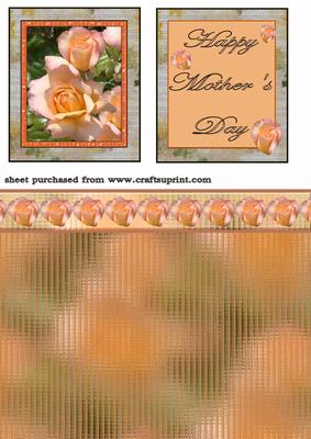 Peach Rose Mother's Day