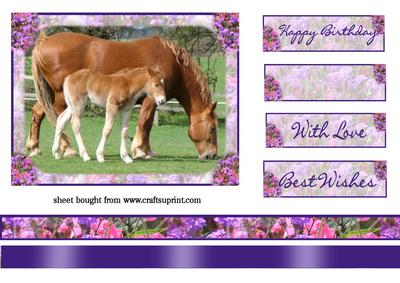 Horses Mother & Baby