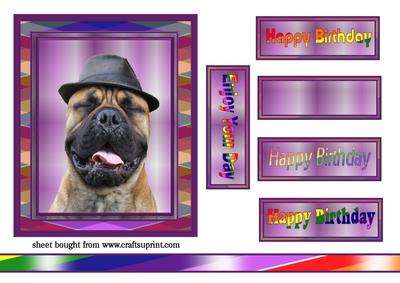 Dog in a Hat Topper