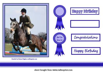 Horse Jumper Topper