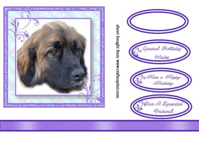 Dog Head Topper for the Ladies