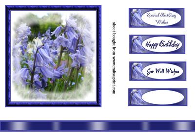 Bluebell Topper
