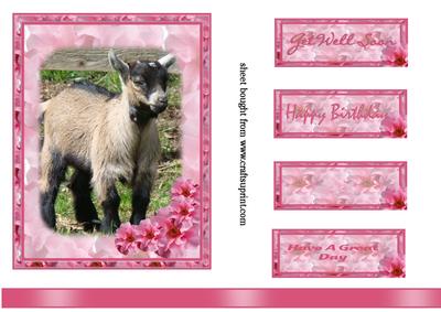 Little Goat Topper