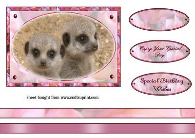 Baby Meerkat Topper