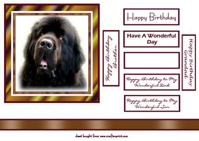 Newfoundland Dog Topper