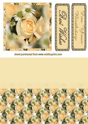 Peach Rose Topper and Sheet