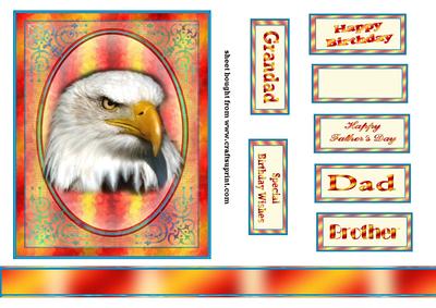 Bird of Prey
