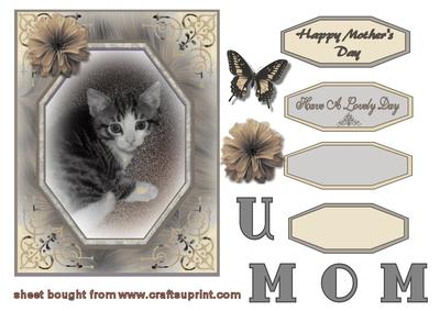 Mother's Day Kitten in a Sepia Frame