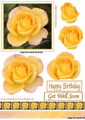 Yellow Rose