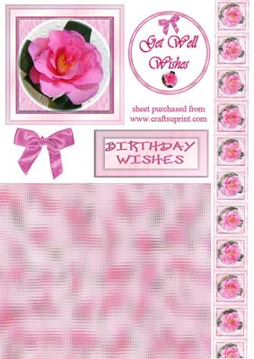 Pink Camelia