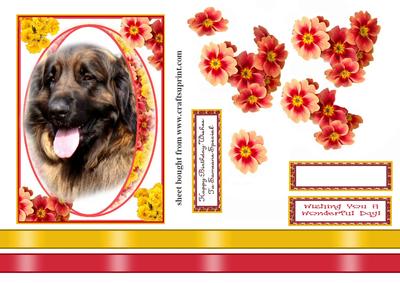 Lovely Dog in Pretty Floral Frame