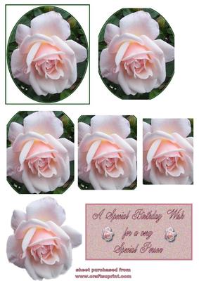 Pink Rose Pyramid