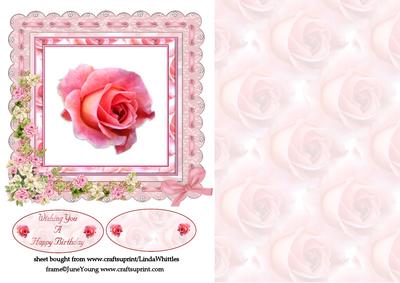 Pink Rose in Floral Frame