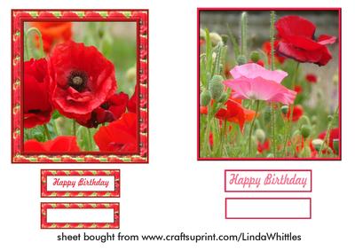 Two Poppy Toppers