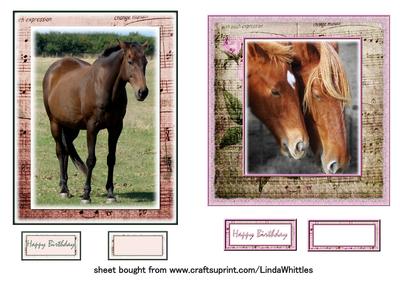 Horse Toppers