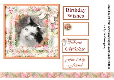 Cat in Lace Frame Topper