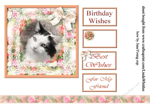 Cat in Lace Frame Topper