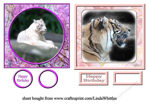 White & Siberian Tiger Toppers