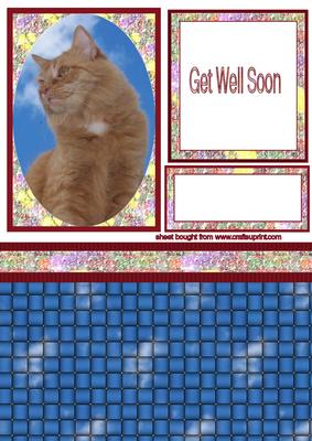 Giner Cat Get Well