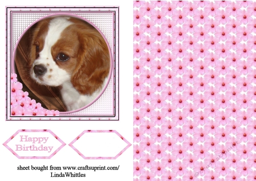 Puppy in Pink Frame