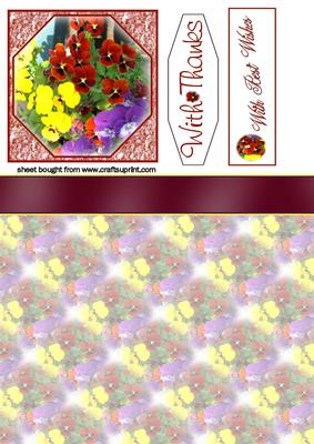 Pretty Pansies