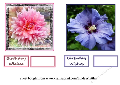 Dahlia and Hibiscus Topper