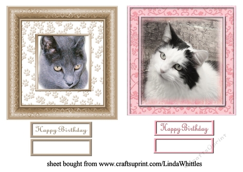 Cat Toppers 2
