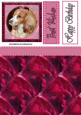 Elegant Dog Topper