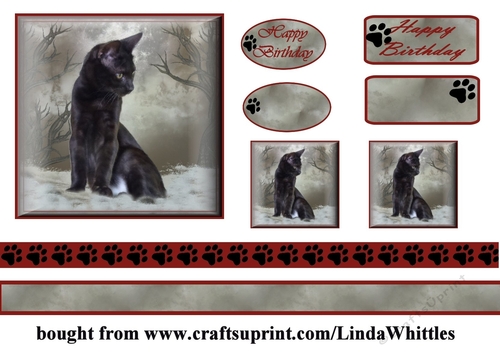 Black Cat Topper