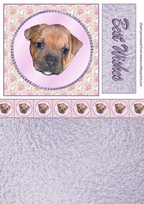 Puppy in Jewelled Ring