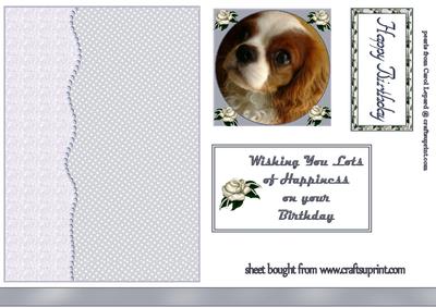 Quick Card Puppy