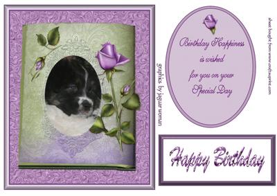 Puppy with Lilac Rose