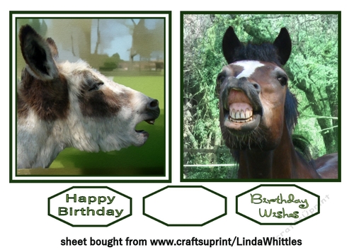 Donkey & Horse Toppers