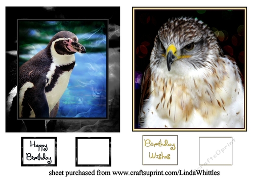 Penguin and Owl Toppers