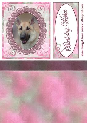 Beautiful Alsatian Topper